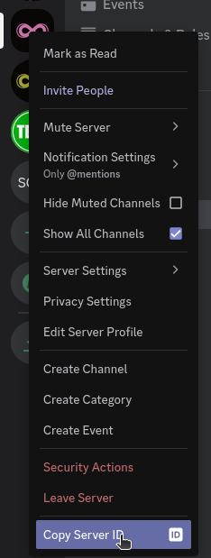 Копирование ID сервера